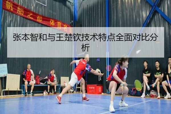张本智和与王楚钦技术特点全面对比分析